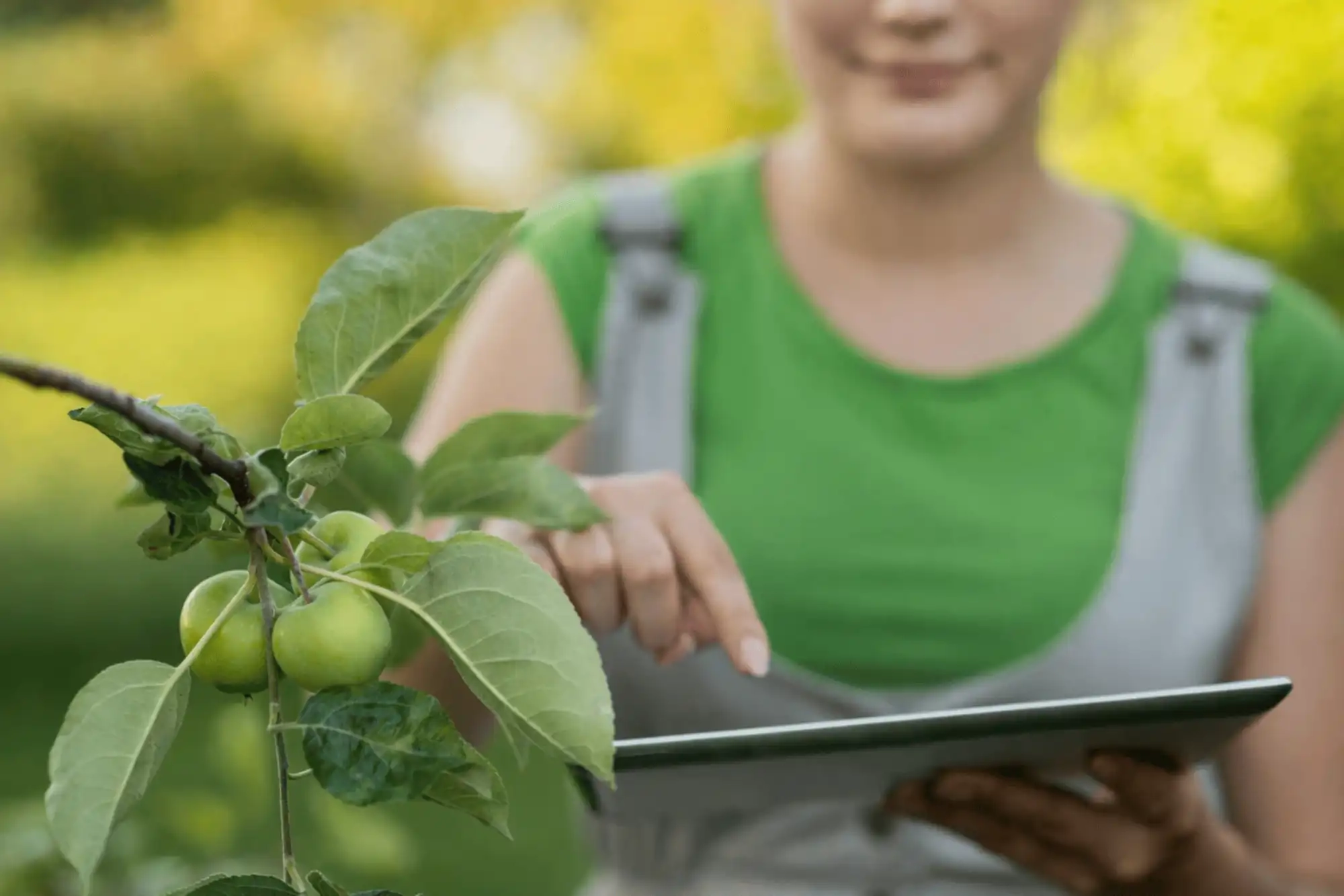 Agricultura biológica para todos