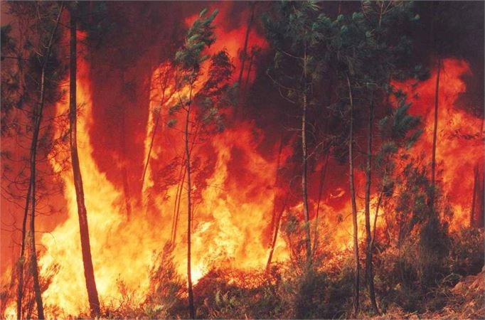 Alargamento do Período Crítico de Incêndios até 15 de Novembro