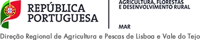 Sessão Networking