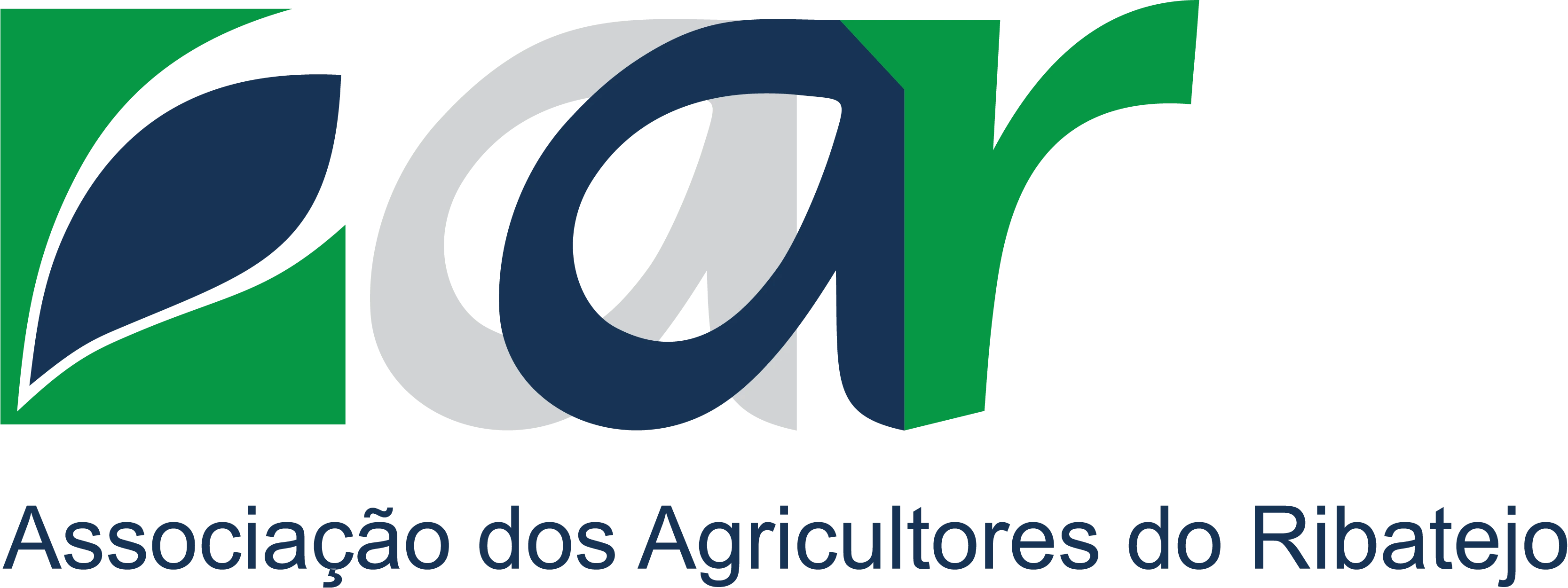 Monitorização Semanal - Tejo - Arquivo Julho 2026